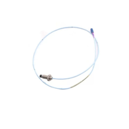 Bently Nevada 330703-000-060-10-02-00 proximity probe for industrial vibration monitoring.
