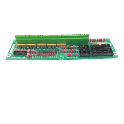 DS200TBQBG1ACB GE Input Termination Module – Front View